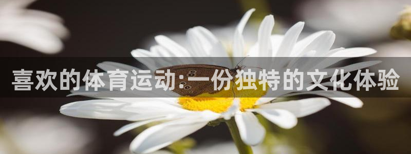 必发官网下载软件:喜欢的体育运动:一份独特的文化体验