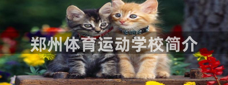 必发官网下载平台注册要钱吗是真的吗:郑州体育运动学校简介